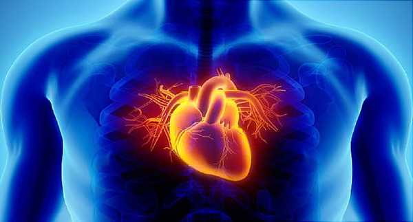 تاثیر بیماری قلب و عروقی بر فشار خون پایین
